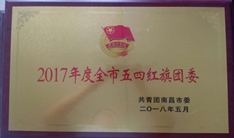 2017年度全市五四紅旗團(tuán)委